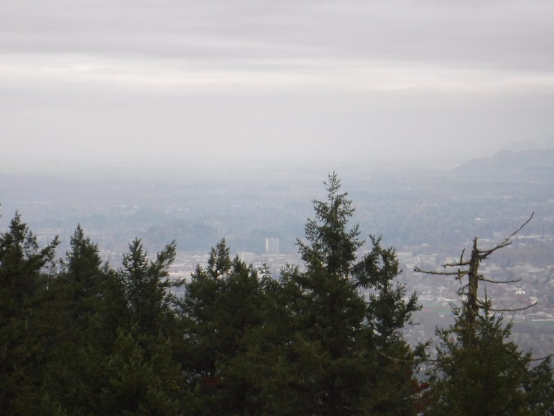 A view of Eugene from the top of Spencer Butte on a typical Oregon November day.