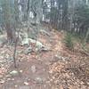 Hiking along the Crest Trail towards the East Overlook.