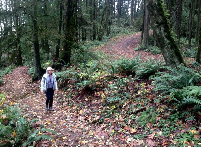 A woman hikes the Wildwood Trail at the point it intersects with Fir Lane 1, which can be seen in the upper right. The are is very family-friendly as it has easy excess to a wide clearing with picnic tables.