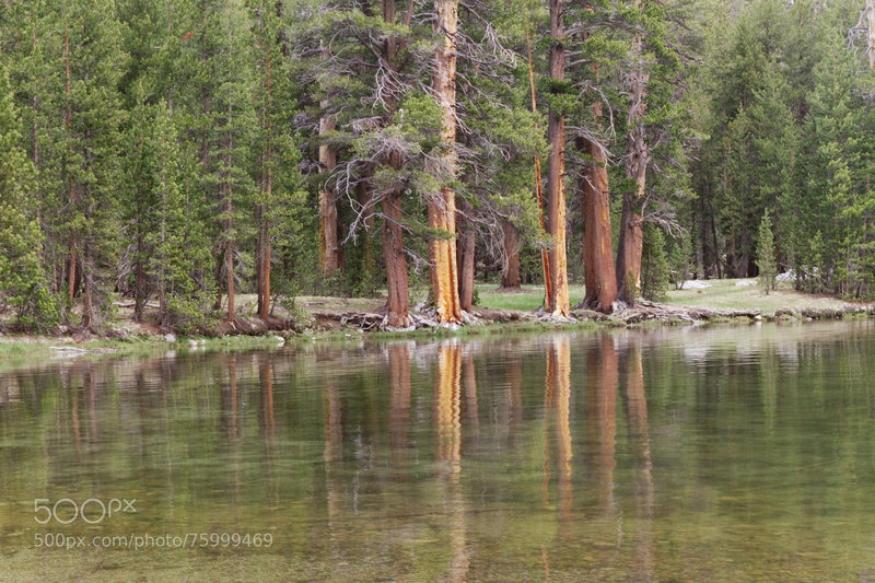 Dog Lake as seen from the Dog Lake Trail.