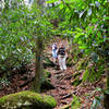 Hiking descend the Honey Creek Trail.