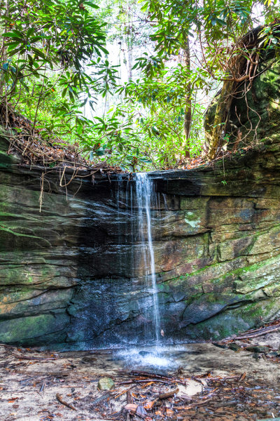 Falls along Honey Creek Trail