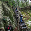 Stairs along Honey Creek Trail.