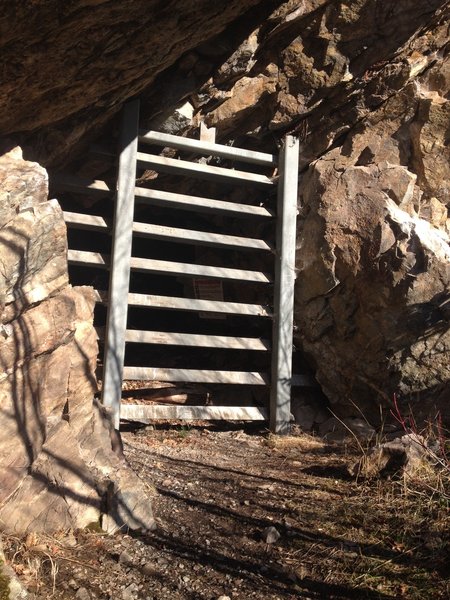 An old mine on the Sullivan Lakeshore Trail, the openings let the bats into the cave.