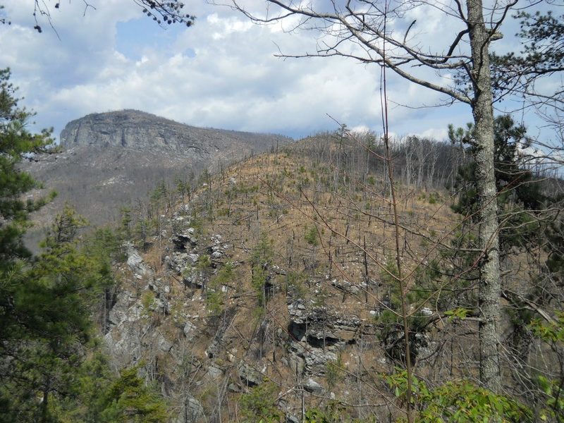 Tablerock Mountain visible in the distance from Shortoff Mountain.