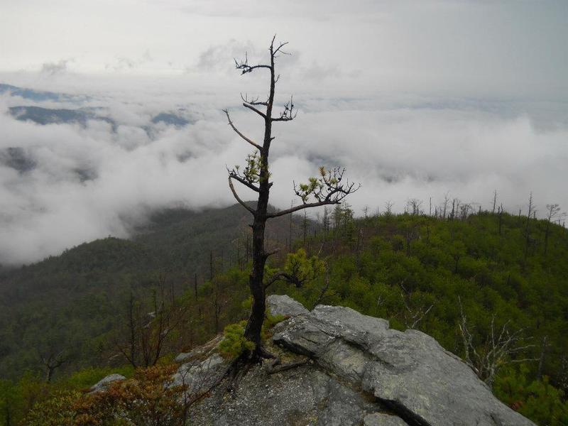 The clouds linger below the mountains in Linville Gorge on a crisp fall morning.