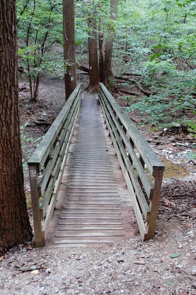 Bridge by Monkey Rock.