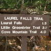 Laurel Falls Trail