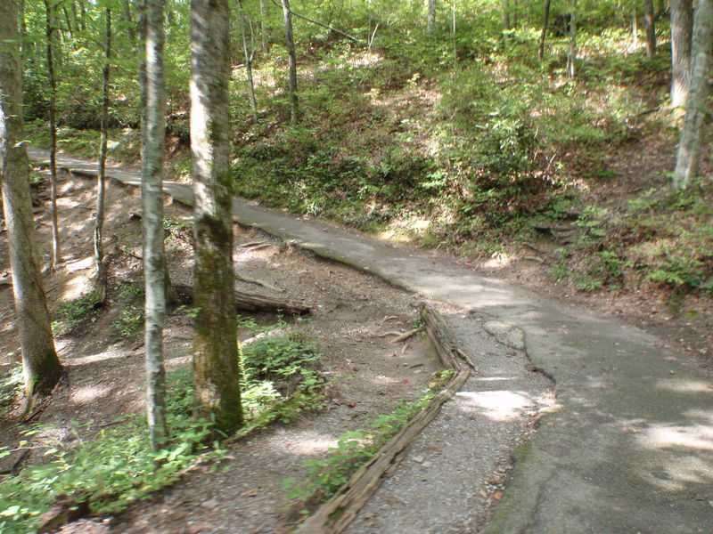 Laurel Falls Trail.