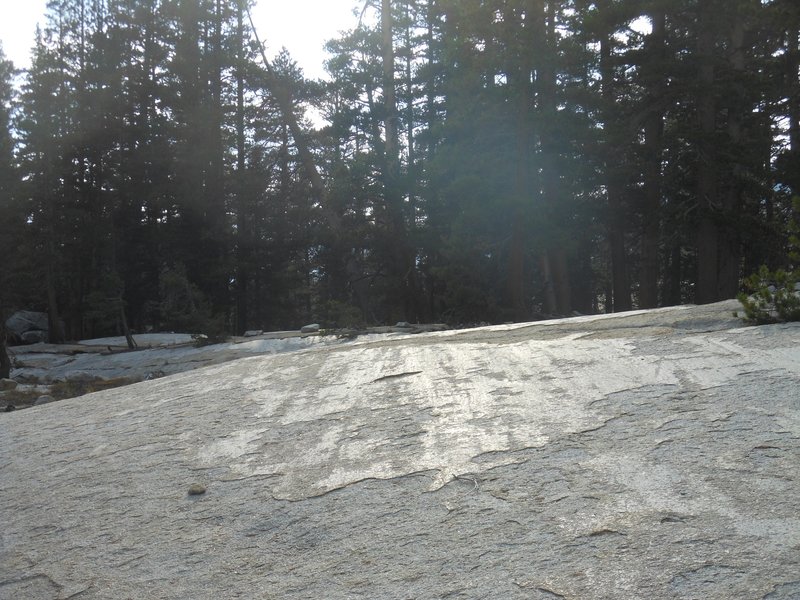 You'll probably see many examples of granite polished smooth by ancient glaciers on the Merced River Shelf.