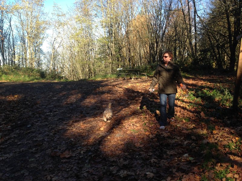 A woman with her dog starts down lower Saltzman Road at its intersection with the Leif Erikson. The area hosts a picnic table and is a popular place to take a break. There is also a scenic overlook of the Willamette.