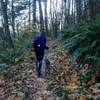 A hiker and her dog make their way along the Wildwood Trail on a fall afternoon hike in November.