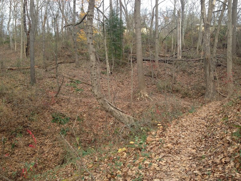 Winding through neighborhood hills.