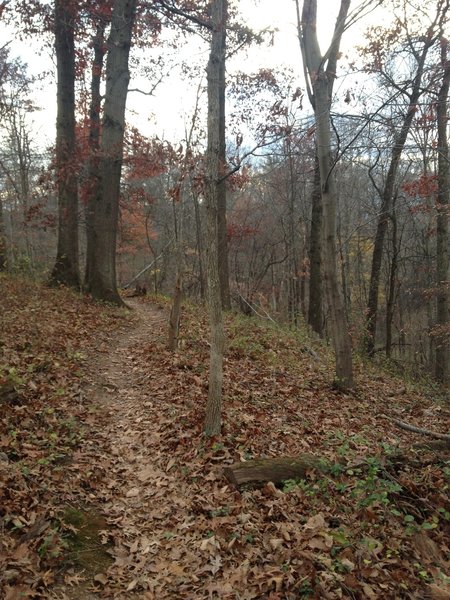 Heading up to the trail's end on Glendale Road.