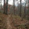 Heading up to the trail's end on Glendale Road.