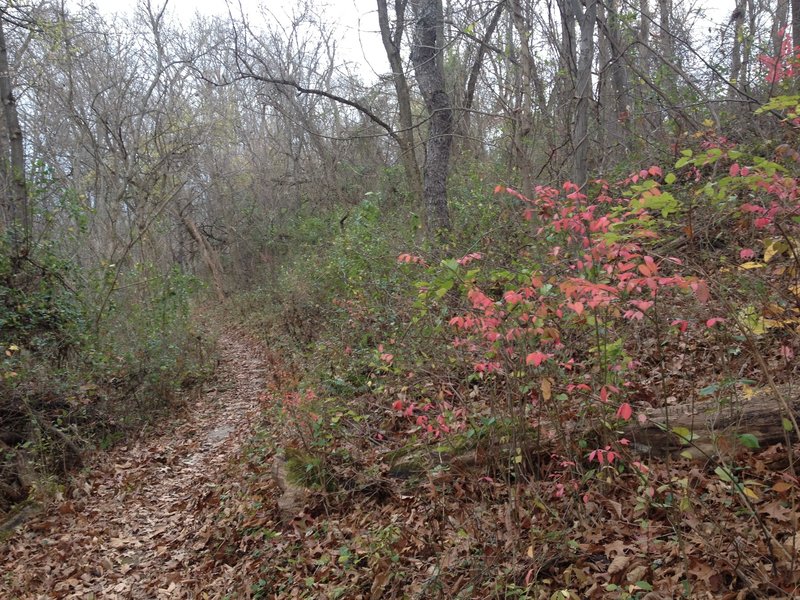 Fall colors are a highlight of this trail.