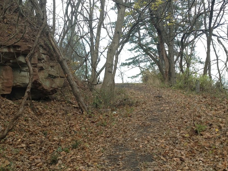 Part of the old road that the Old Walnut Trail follows for its final descent down to Green St.