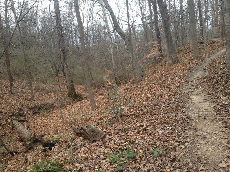 The Moon Trail swinging around a tight turn and continuing into the distance.