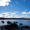 View of Black Moshannon Lake from the Bog Trail.