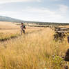 Running through Hart Prairie Preserve. Photo by Kristin Wilson.