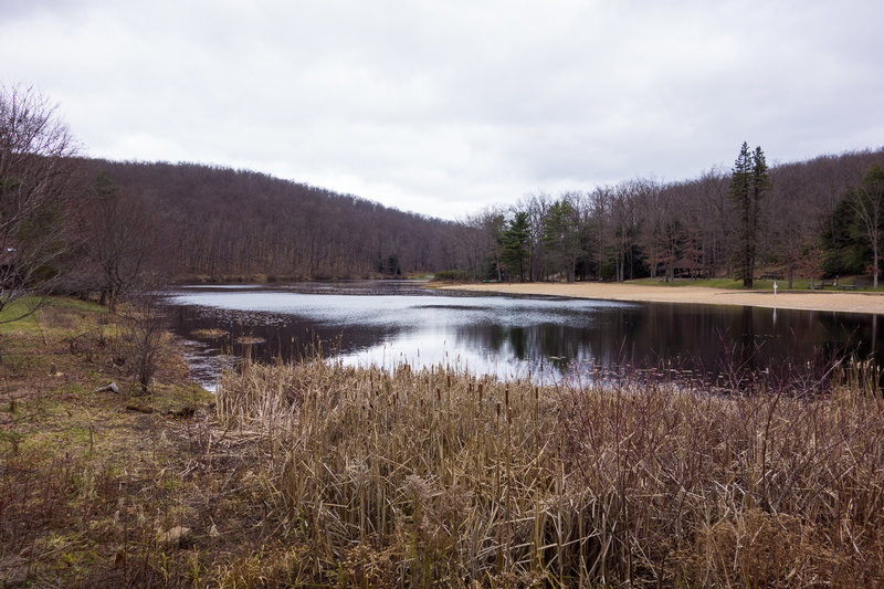 Black Moshannon Lake and the swimming beach