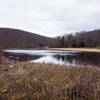 Black Moshannon Lake and the swimming beach