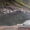 Hot Spring. Olympic Hot Springs Trail on Appleton Pass.