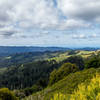 Facing west towards the Pacific Ocean