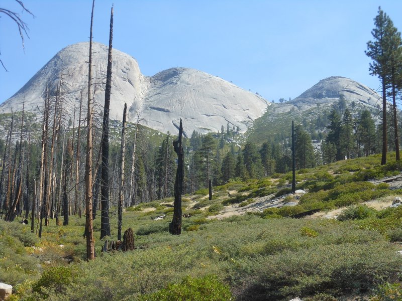 Mount Starr King from the Mono Meadow Cutoff Trail.