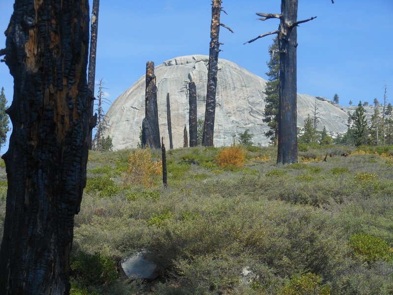 A classic Yosemite dome near the Mono Meadow Cutoff Trail.