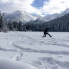 Jumping for joy in the fresh snow!