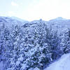 Beautiful hiking / snowshoeing trail with nice views and aspen groves.