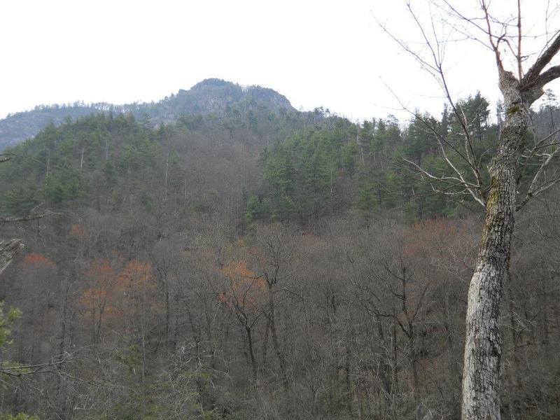 The ascent to MST via Wolf Pit Trail.