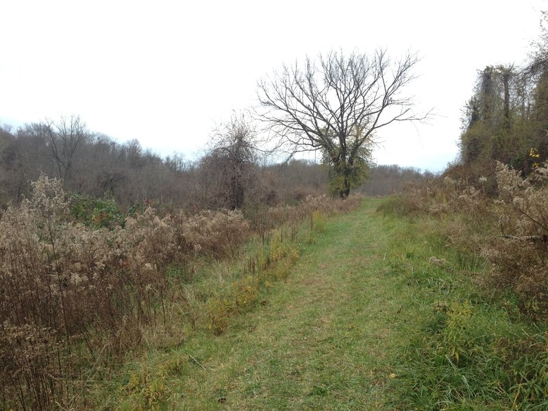 The trail after it turns into a grassy doubletrack.