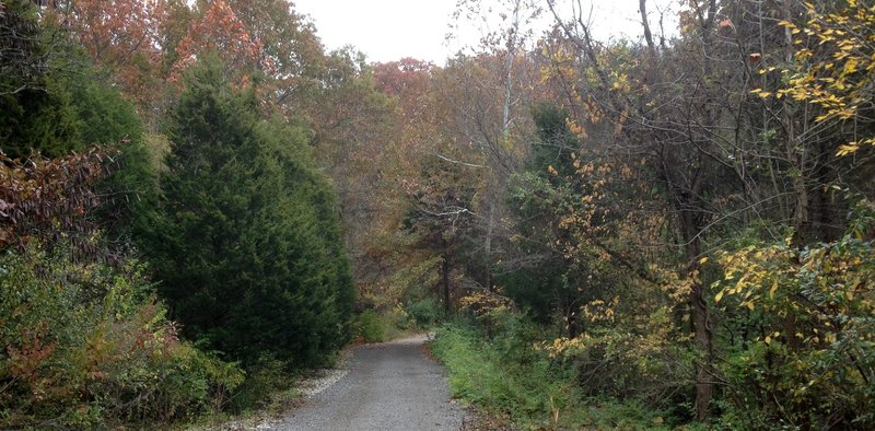 Cedar Trail at Bee Tree Park