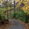 Crow's Roost Trail at Bee Tree Park