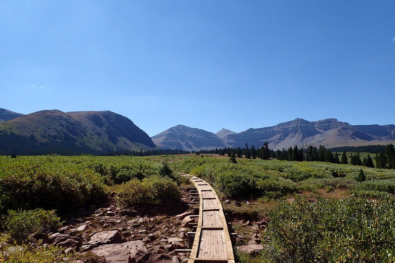 View of one of the boardwalks leading over a drainage along Henrys Fork Trail. Kings Peak is in the background at center right. Gunsight Pass is between the obvious notch at center left. The West Spur of Gilbert Peak is on the left.