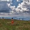 Depending on the wind, it's also a great place to throw a frisbee.