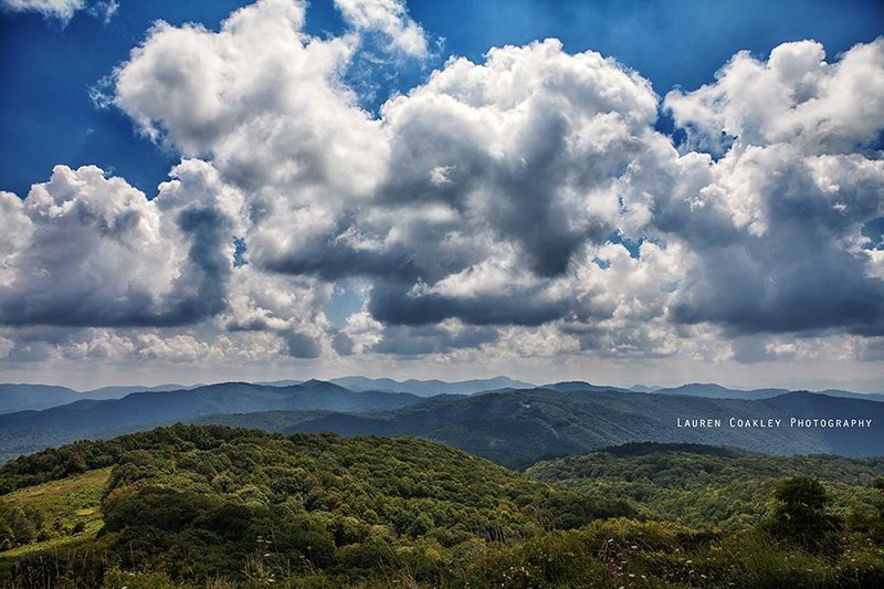 A sea of forest extends in all directions from Max Patch Mountain.