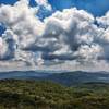 A sea of forest extends in all directions from Max Patch Mountain.