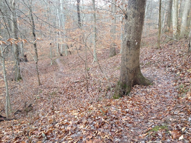 The Frontier Loop Trail zigzagging down the hillside.