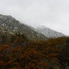 Heavy vegetation at this elevation, dry creek may flow in spring and winter