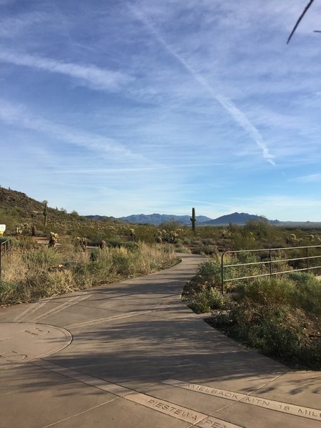 Apache Wash Trailhead