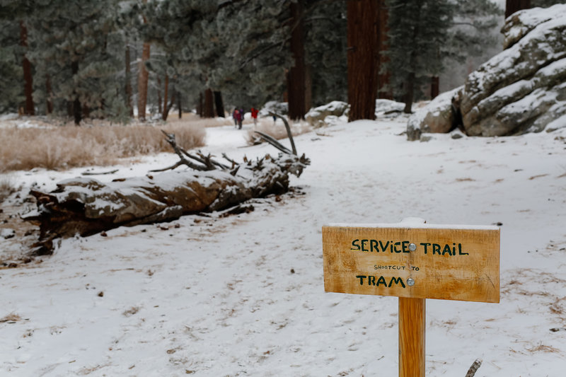 Trail to tram.