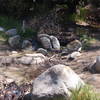 San Ysidro Creek