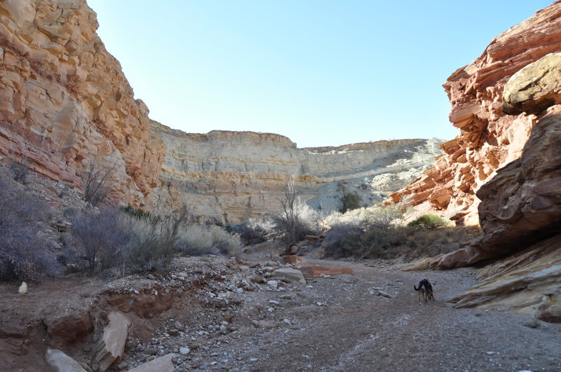 Entrance of Little Wild Horse Canyon.