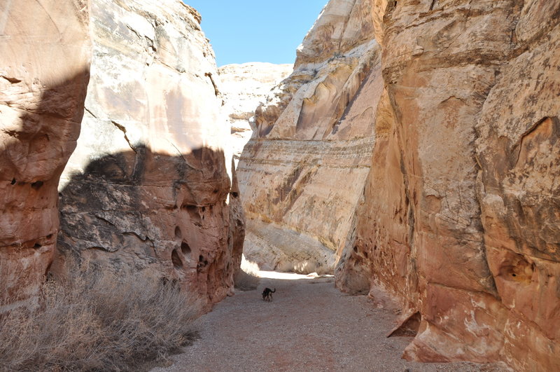 Some small passages and narrows, but mainly nice and open with high walls.