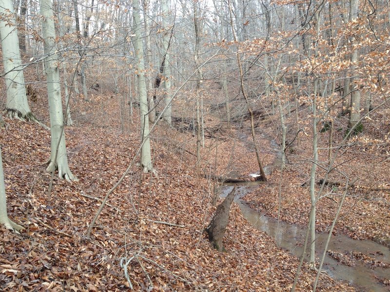 The Chimney Trail following the stream back up and out of the valley.