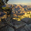 An awesome view of the Grand Canyon.