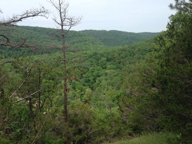 Overlook along the North Sylamore Creek Trail.